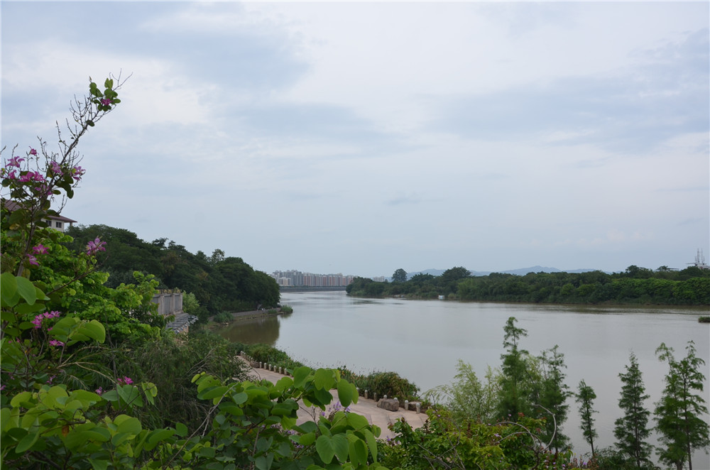 國(guó)務(wù)院：聚焦企業(yè)關(guān)切，進(jìn)一步推動(dòng)優(yōu)化營(yíng)商環(huán)境政策落實(shí)